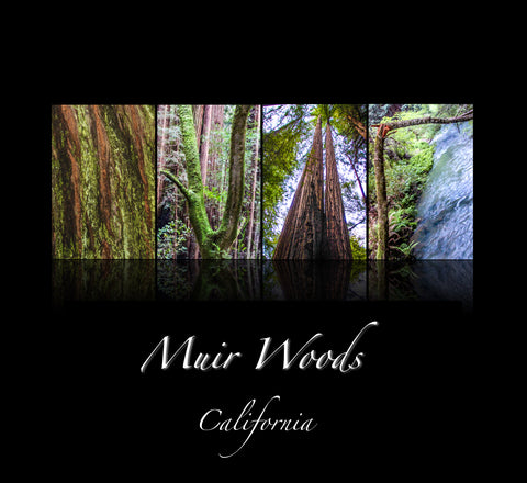 "MUIR WOODS" National Park, California